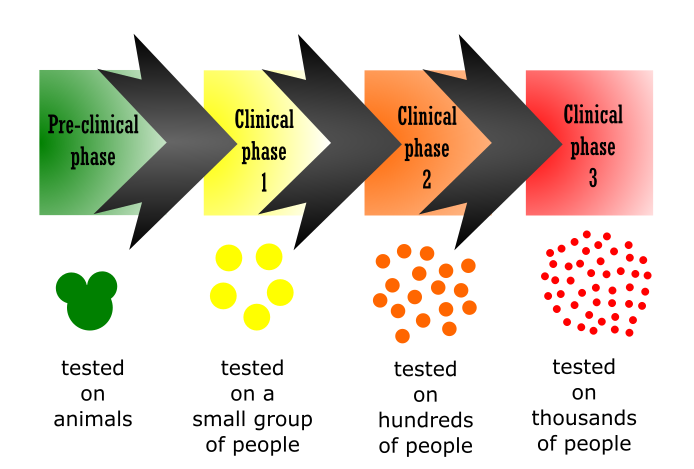 Corona vaccine status