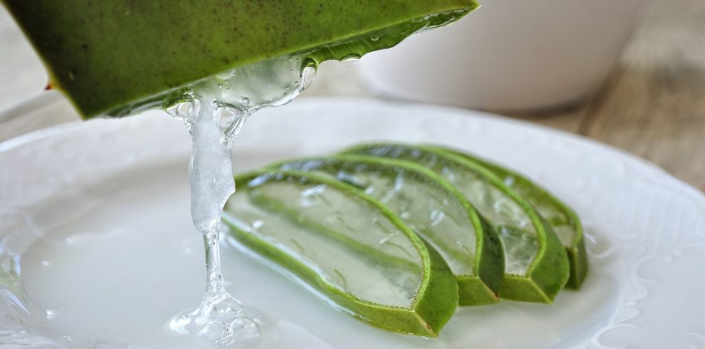 Aloe vera uses | Aloe vera gel uses five ways to use aloe vera