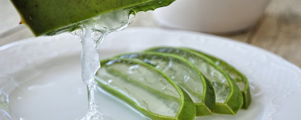 Aloe vera uses | Aloe vera gel uses five ways to use aloe vera