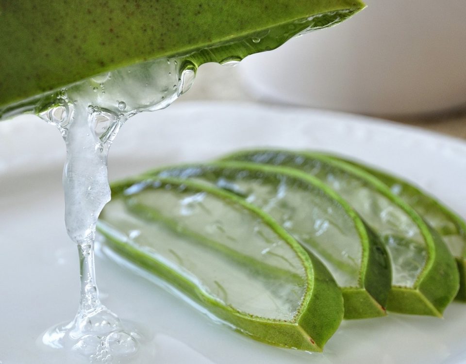 Aloe vera uses | Aloe vera gel uses five ways to use aloe vera